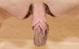 Самая большая вагина в мире (59 фото)